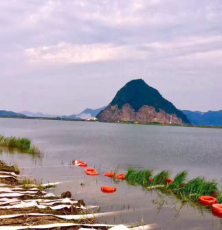 太阳城官网(中国)集团有限公司